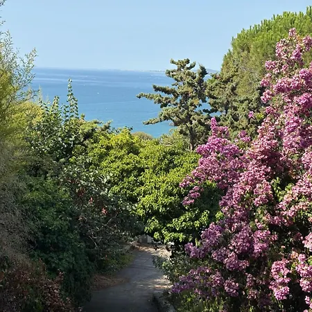 L'heure Bleue